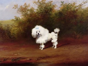 Een speelgoedpoedel in een landschap door Frederick French